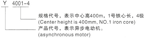 西安泰富西玛Y系列(H355-1000)高压YKK4501-6三相异步电机型号说明