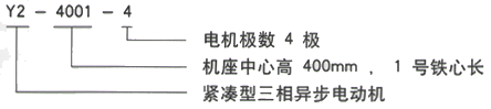 YR系列(H355-1000)高压YKK4501-6三相异步电机西安西玛电机型号说明